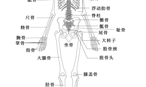 孕妇梦见狗生四只小狗什么意思-【孕妇梦见狗生四只小狗崽】孕妇梦到自家的狗生了几个狗宝宝 - 孕妇梦见狗生四只小狗网