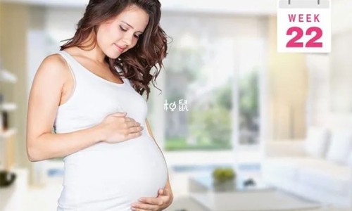 孕妇梦到自家小狗生了一个怪胎-【孕妇梦见狗生四只小狗崽】孕妇梦到自家的狗生了几个狗宝宝 - 孕妇梦见狗生四只小狗网