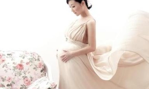 孕妇梦见家里狗生了四个小狗-【孕妇梦见狗生四只小狗崽】孕妇梦到自家的狗生了几个狗宝宝 - 孕妇梦见狗生四只小狗网